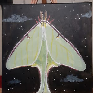 Luna Moth