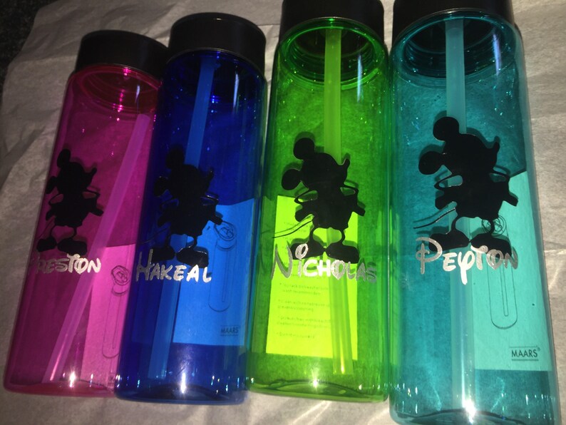 disney animators water bottle