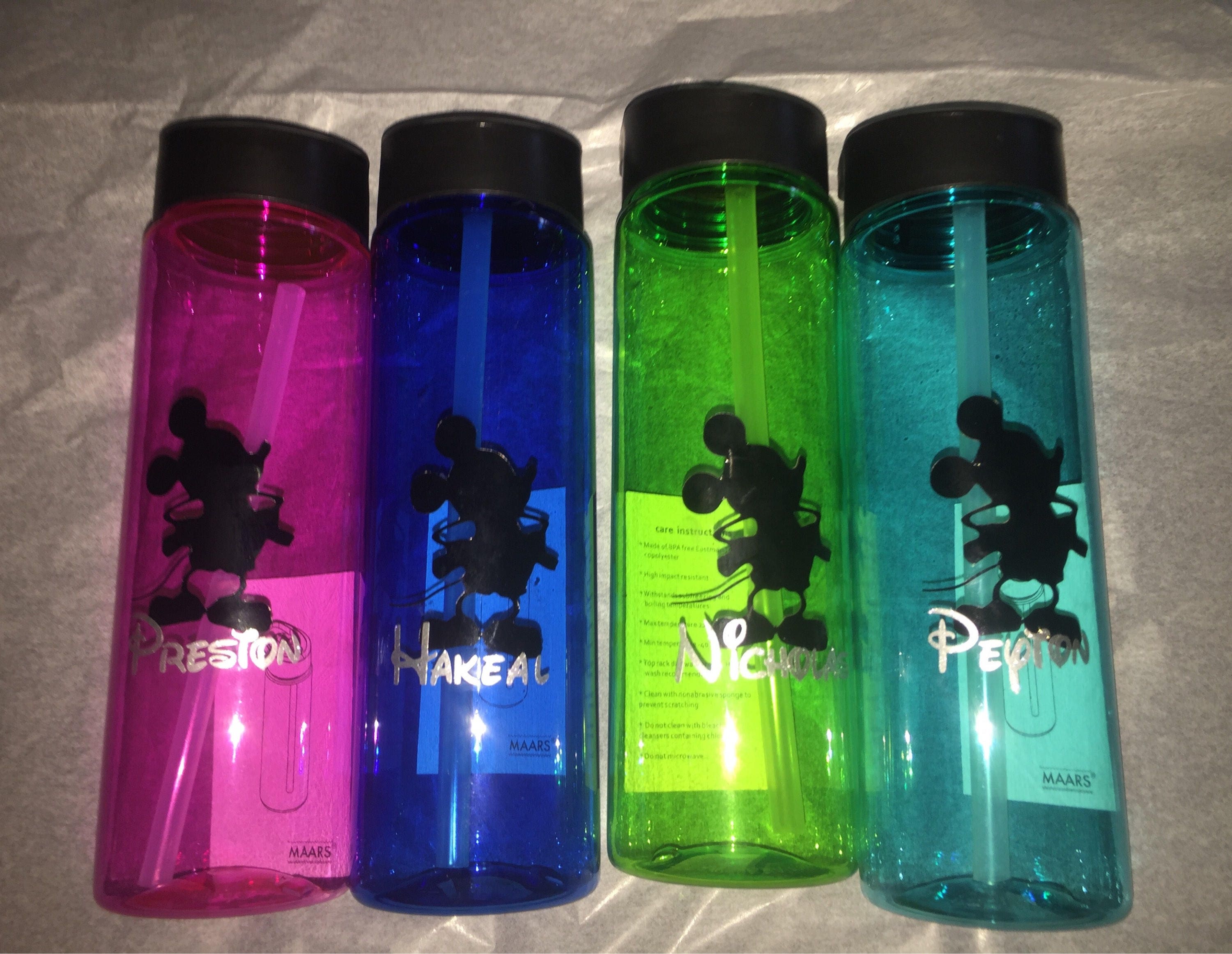 Disney Character or Disney Cruise Line Water Bottle Great FE Gift or Party  Favor 22 Oz 