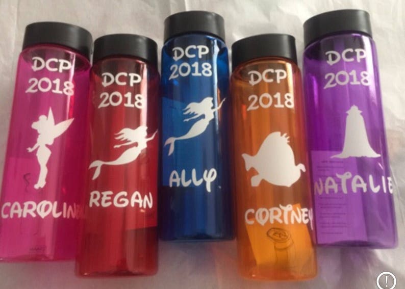 disney animators water bottle