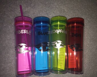 Disney character or Disney cruise line skinny tumblers great FE gift or party favor customized and design
