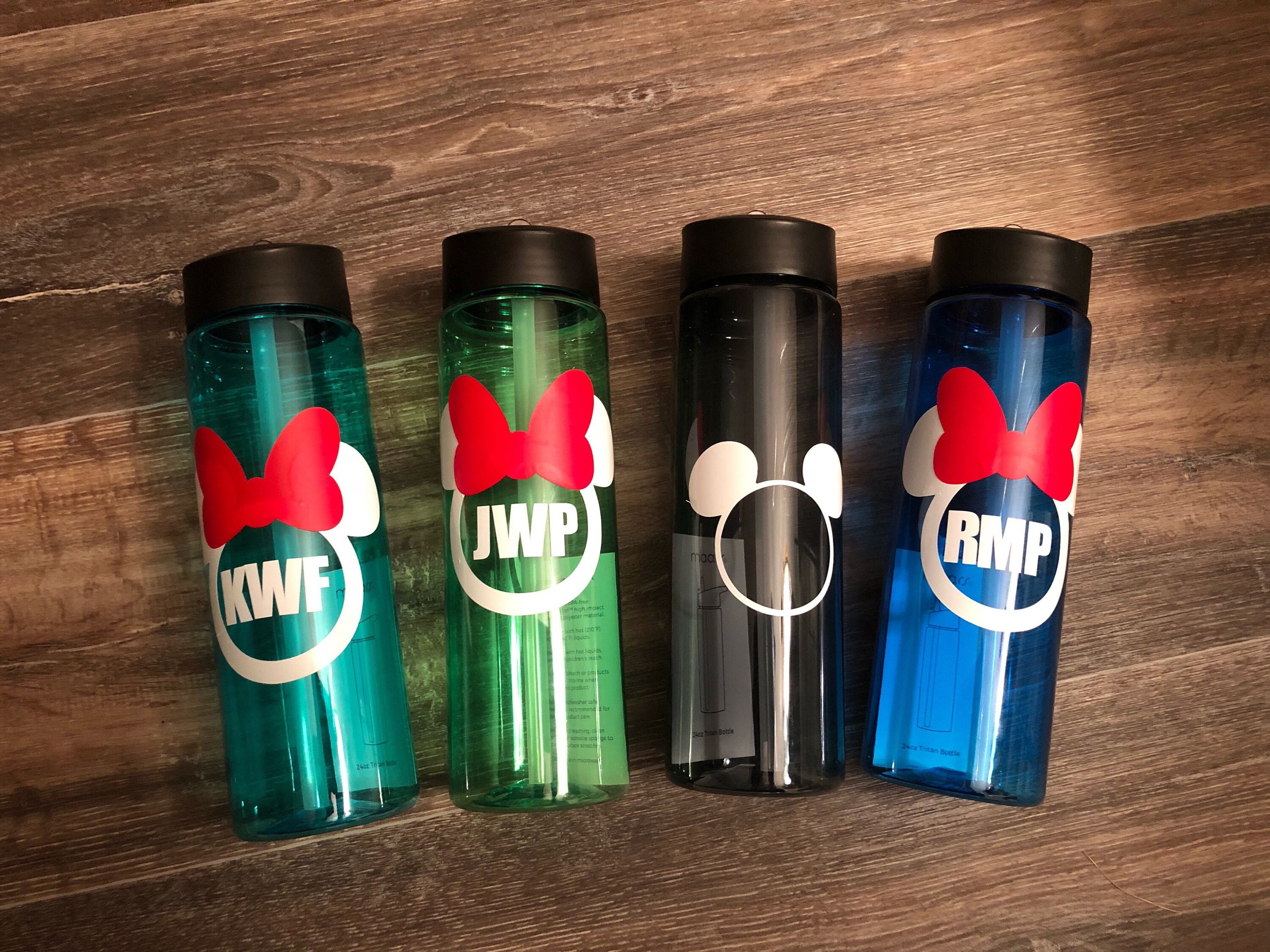 Disney character or Disney cruise line water bottle great FE Etsy