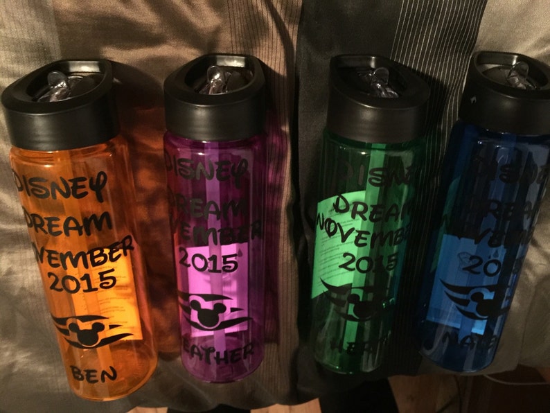 disney animators water bottle