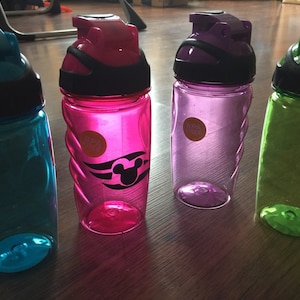 Disney character or disney cruise tumbler cups great FE gift or party favor 14 fl oz water bottle
