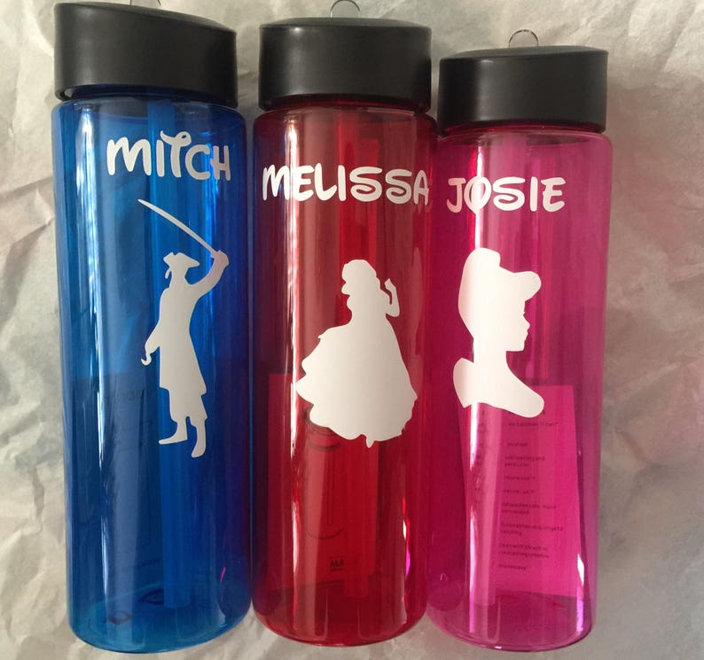 disney animators water bottle