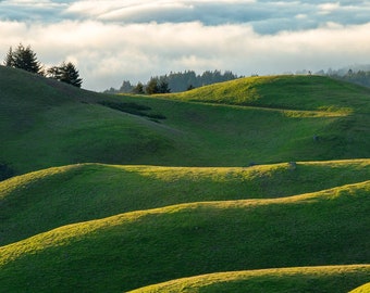 California Sunset Art - Landscape Mountain Photo - Sunset Print - Photograph of California Fog in Spring Green Mountain Landscape