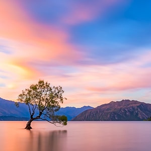 New Zealand Canvas Print Mountain Print, Lake Wall Art, Sunset Large Wall Art New Zealand Landscape Print, New Zealand Tree Nature Photo image 4