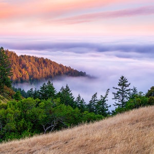 California Mountain Sunset Photo - North of San Francisco California Mt Tam Print at Sunset with Fog & Trees - Pink, Yellow, Red, Orange