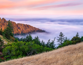 Mt Tam Sunset Photo: California Mountain Fog Print