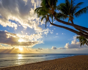 Maui Hawaii Sunset Photo - Beautiful Paradise Beach Photograph from the Hawaiian Island of Maui - Palm Trees - Sand - Ocean - Sunset