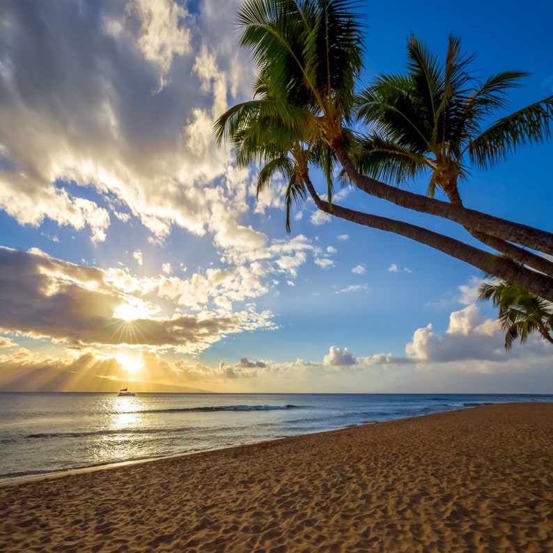 Maui Hawaii Sunset Photo Beautiful Paradise Beach Photograph from the Hawaiian Island of Maui Palm Trees Sand Ocean Sunset image 4