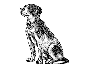 Beagle Vintage Vector Graphic - SVG file for Digital Clip Art