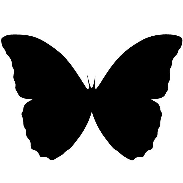 Butterfly Vector Graphic - Instant Digital Download - SVG file for Cricut