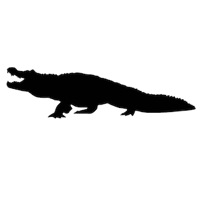 Men's Vintage Louisiana Yard Dog Alligator Graphic Short Sleeve T-Shirt 2XL