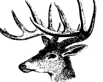 Vintage Buck Illustration - instant download deer SVG and PNG files for graphic design