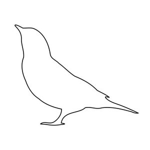 Songbird Outline SVG and PNG - Vector Digital Download - Hand Drawn Vector Graphic for Cricut and More - Plus PNG
