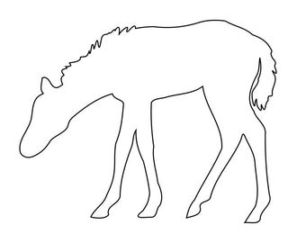 Hand drawn Horse Line Art - instant download SVG and PNG files - Great for Cricut, clip art, embroidery, and more!