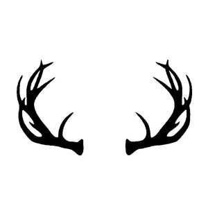 Antlers Graphic - SVG および PNG ファイルを即時デジタルダウンロード - Cricut、クリップアートなどに最適です。