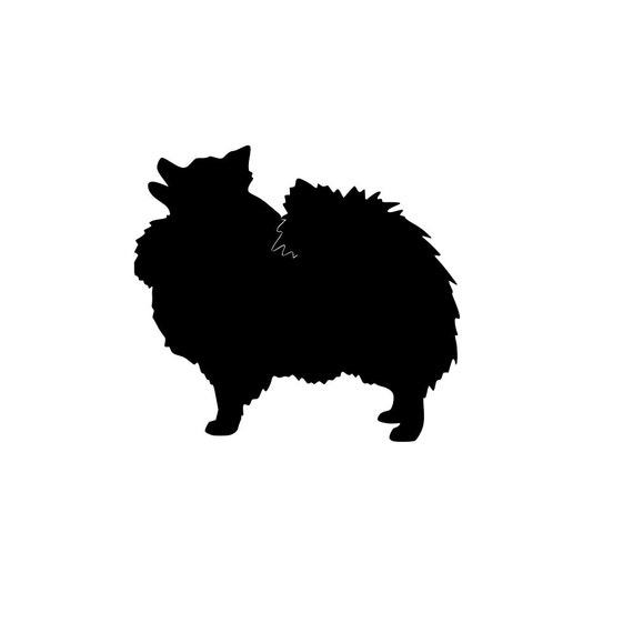 Pomeranian SVG and PNG Digital Download SVG dog graphic | Etsy