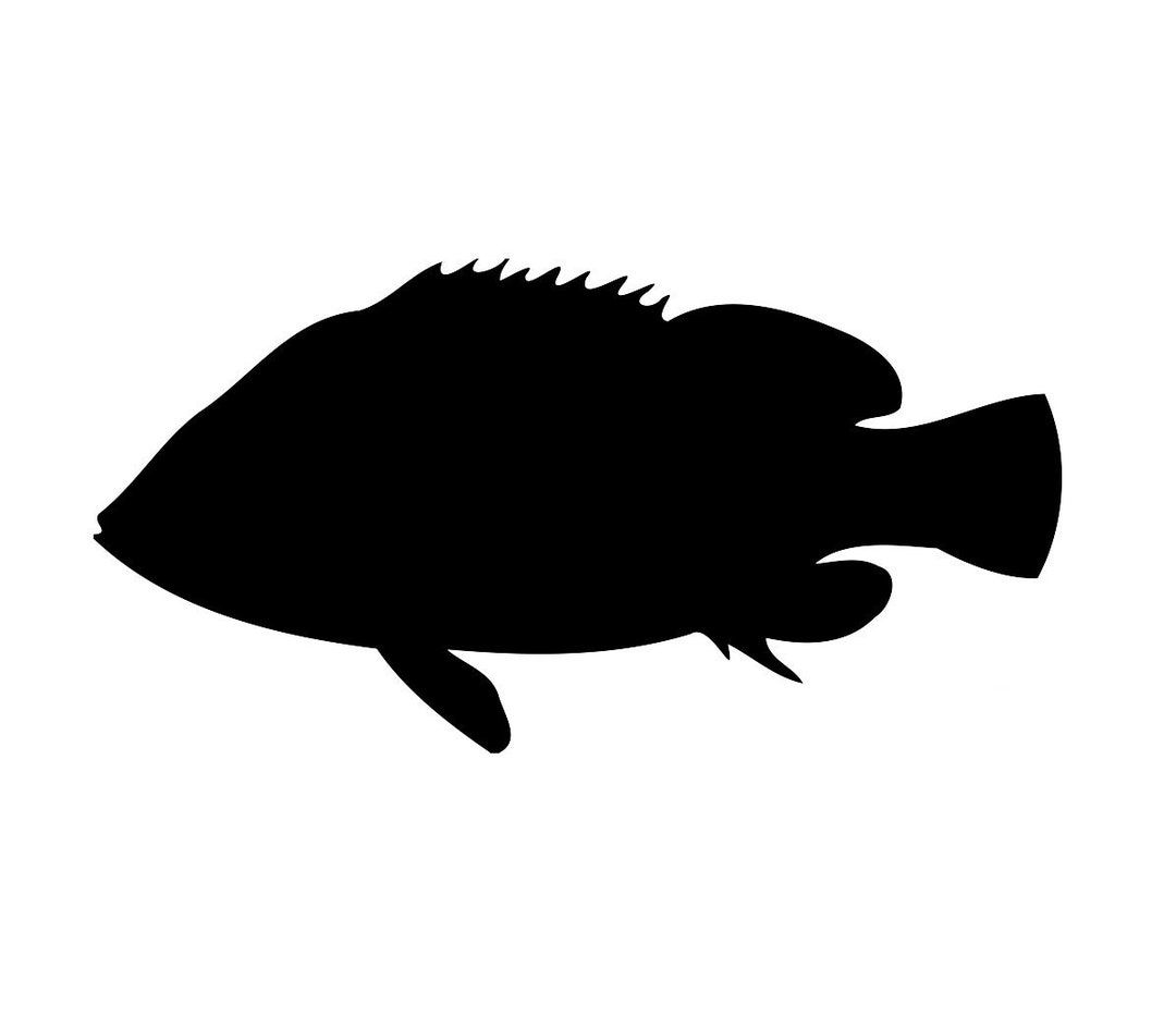 Fish Vector Graphic Digital Download SVG File for Cricut - Etsy