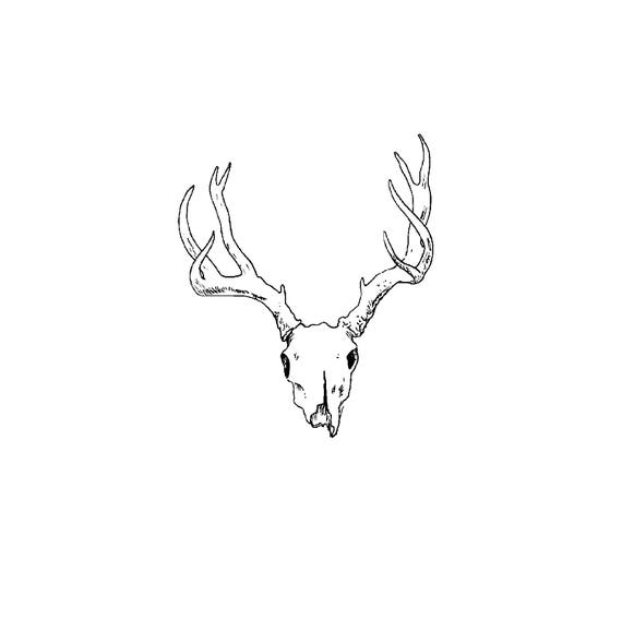 Deer Skull Svg And Png Digital Download Deer Graphic Etsy