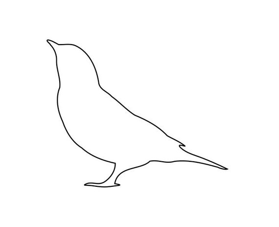 File:Black and white line art drawing of bird body.jpg - Wikimedia