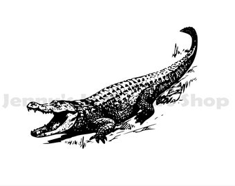 Alligator Graphic Vector y PNG Instant Download - Archivos SVG y PNG para descarga digital