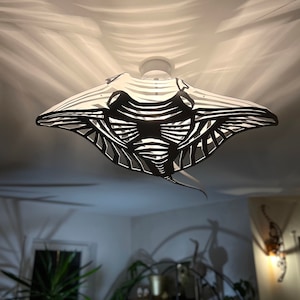 Plafoniera, Manta Ray, design unico, acciaio bianco, luce mare, illuminazione di design, immagine 4