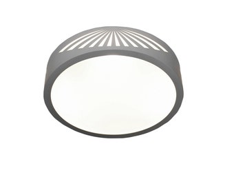 Modern Lamp, ceiling Flush mount RAYS