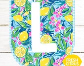 Lemonade Stand Printable Preppy Awning Banner Printable Instant Download