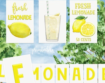 Lemonade Banner Enamel Look Farmhouse Lemonade Stand Sign and Party Banner Printable Instant Download