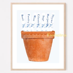 May include: A framed print featuring a terracotta pot with scalloped edges. Above the pot are white labels with blue floral designs, each labeled with a herb name: Basil, Parsley, Mint, Cilantro, Sage, Marjoram, and Thyme. The text "Freshcitrus" is printed on the pot.