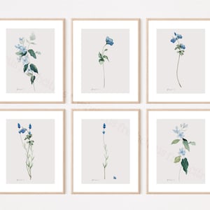 Botanical Art Prints Set of 6 8 x 10 Blue Flowers Watercolor Floral Art JPEG and PDF Printable Instant Download