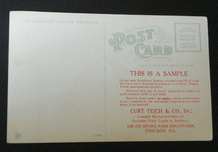 Vintage Postacard of Southern Scene of Cotton Farm Harvest