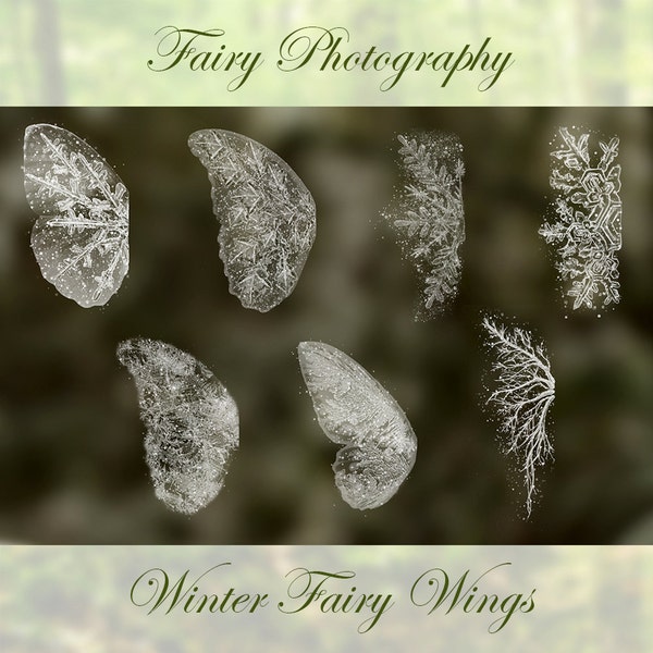 7  Digital Winter Fairy Snow Frost Wing Photoshop BRUSHES