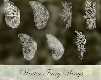 7  Digital Winter Fairy Snow Frost Wing PNG OVERLAYS