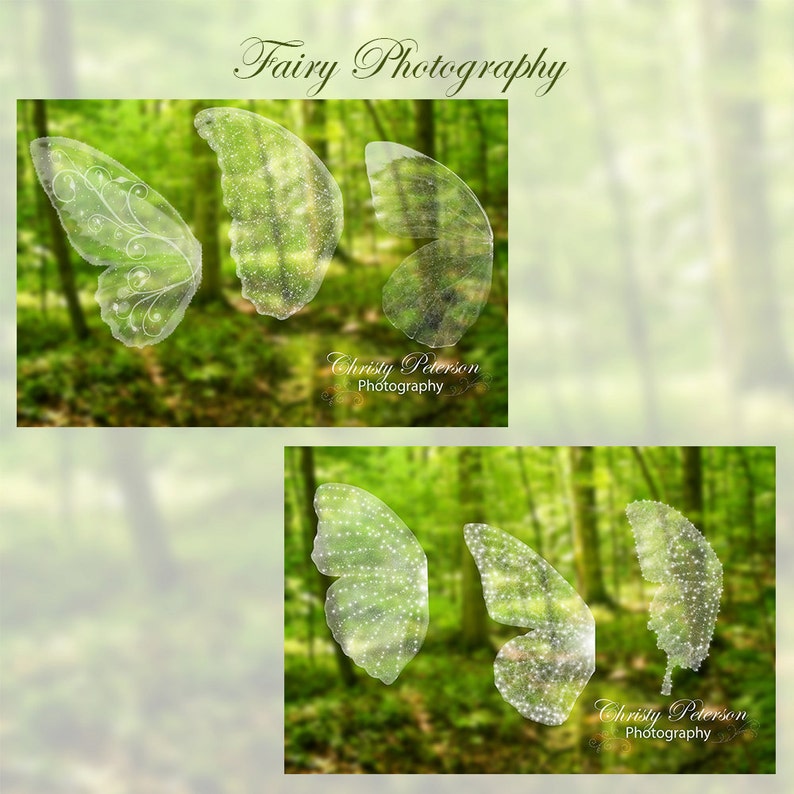 11 Fairy Wings PNG OVERLAYS SET 1, including a Tinker Bell wing, Butterfly wings and a Dragonfly wing image 3