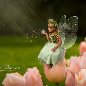 11 Fairy Wings PNG OVERLAYS SET 1, including a Tinker Bell wing, Butterfly wings and a Dragonfly wing image 5