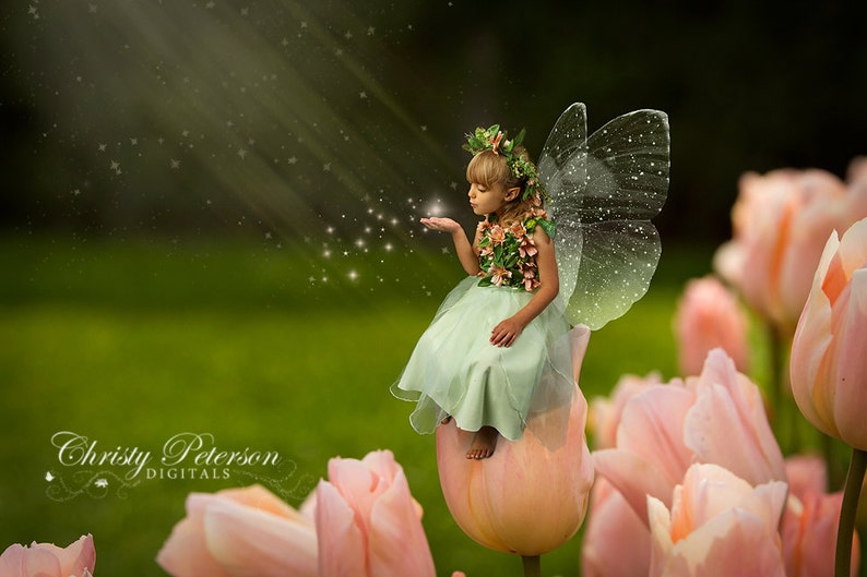 11 Fairy Wings PNG OVERLAYS SET 1, including a Tinker Bell wing, Butterfly wings and a Dragonfly wing image 5