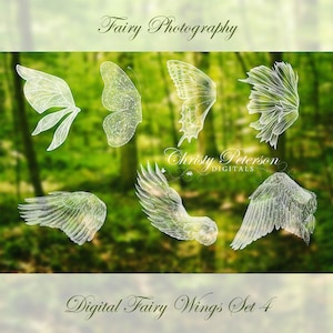 7 Fairy Wings Photoshop Overlays SET 4 Feathered or Angel Wings, Fairy Wings, and Butterfly Wings