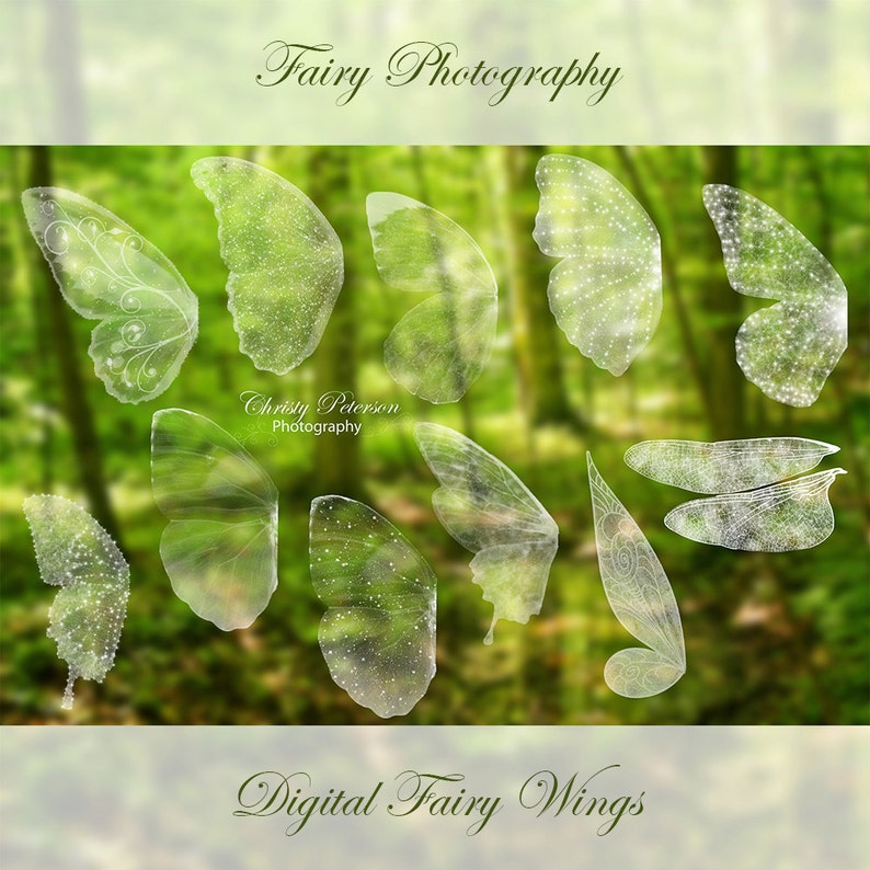 11 Fairy Wings PNG OVERLAYS SET 1, including a Tinker Bell wing, Butterfly wings and a Dragonfly wing image 1