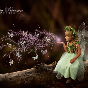 Branch in a Forest Digital Background for Fairy Photography Composites ...
