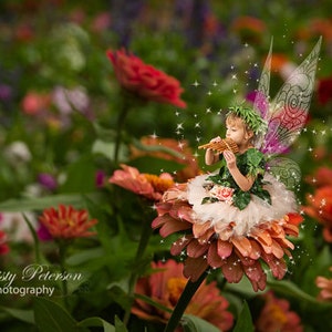Marigold Flower Garden Fantasy Digital Background for Fairy - Etsy