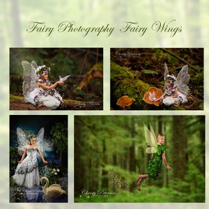 11 Fairy Wings PNG OVERLAYS SET 1, including a Tinker Bell wing, Butterfly wings and a Dragonfly wing image 2