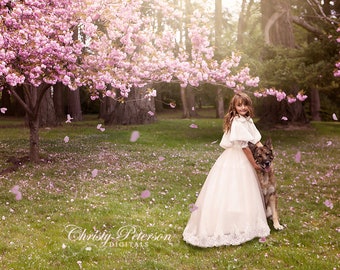 Cherry Blossoms, Petals and Branches Overlay Set