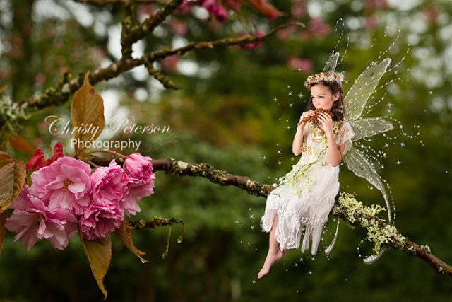 FairyPhotography - Etsy