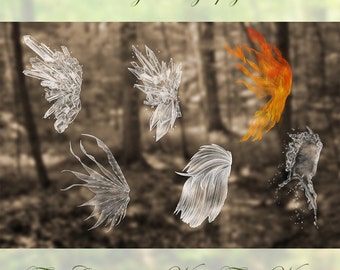 6  Digital Fire, Crystal and Water Fairy Wing Photoshop BRUSHES