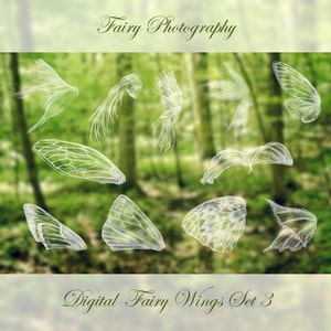 Clarion Light Up Fairy Wings Overlays Fairy Wings PNG files for photo edit  – Fancy Fairy Wings & Things