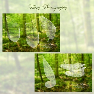 11 Fairy Wings PNG OVERLAYS SET 1, including a Tinker Bell wing, Butterfly wings and a Dragonfly wing image 4