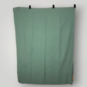 May include: A solid green fabric backdrop with a slight sheen. The backdrop is hanging from three black clips.